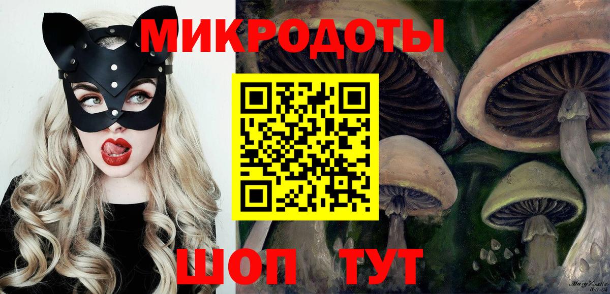 Галлюциногенные грибы ЛСД  Галлюциногенные грибы GOLDEN TEACHER  Вход с VPN  Владимир 
